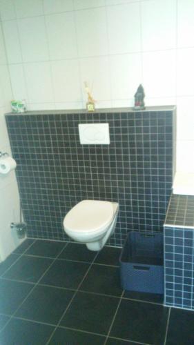 a bathroom with a toilet and a blue tiled wall at erve Hanebulten in Haaksbergen