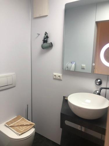 a bathroom with a sink and a toilet and a mirror at Landhaus Kössel in Füssen
