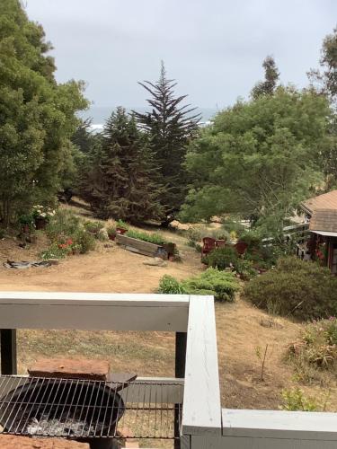 a view of a garden from the balcony of a house at Lomita Quebrada in Pichilemu