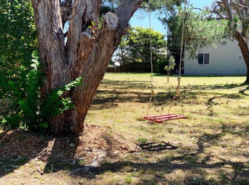 une balançoire suspendue à un arbre dans une cour dans l'établissement Bellaghy Cottage, à Wimbledon Heights