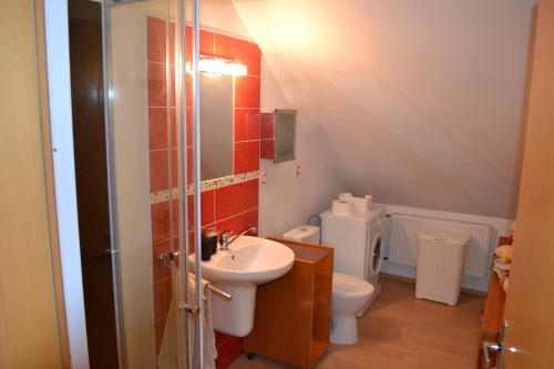 La salle de bains est pourvue d'un lavabo et de toilettes. dans l'établissement Apartment ROCI, à Šlapanice