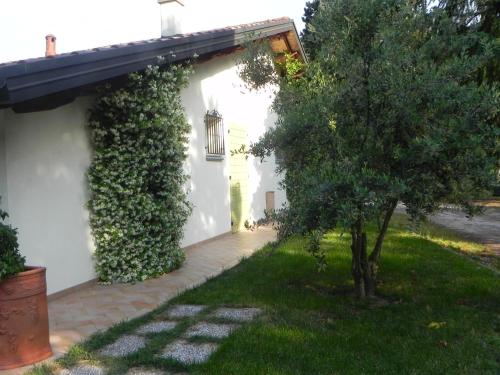 Κήπος έξω από το Caterina Residence