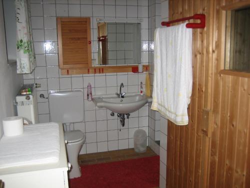 a bathroom with a sink and a toilet at Kelten-Ferienwohnung in Glauburg
