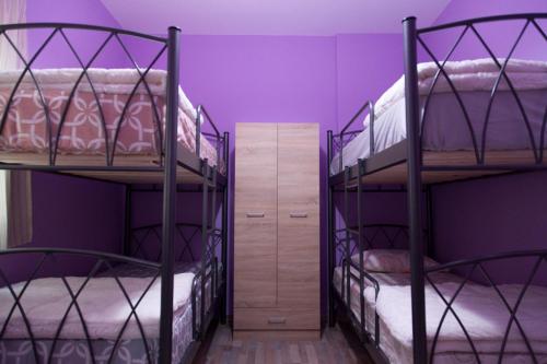 two bunk beds in a room with purple walls at Casa Georgina in Thessaloniki