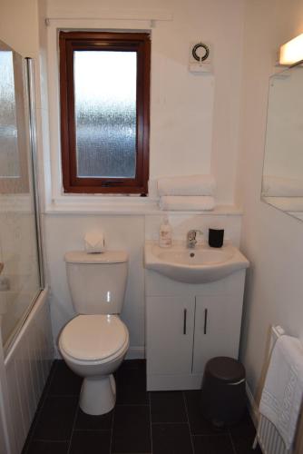 a bathroom with a toilet and a sink and a window at Kelpies Serviced Apartments Hamilton- 2 Bedrooms in Falkirk