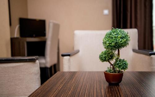 a potted plant sitting on a table in a room at Семеен Хотел Естило in Dimitrovgrad