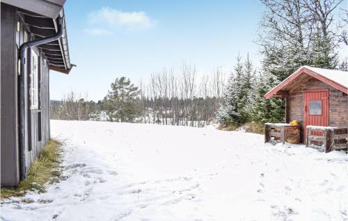 a snow covered yard next to a building with ashed at Cozy Home In Rauland With Wifi in Rauland