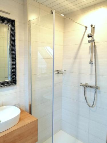 a bathroom with a shower and a sink at Prenočišča Mraz in Velenje