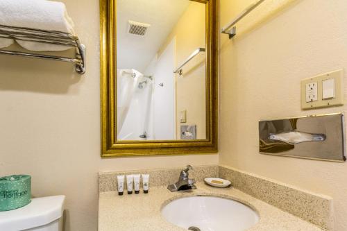 a bathroom with a sink and a mirror at Countryside Suites Kansas City Independence I-70 East Sports Complex Hotel in Independence