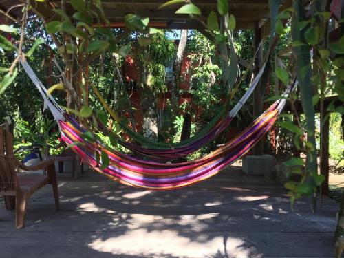 Casa de la Iguanaにある庭