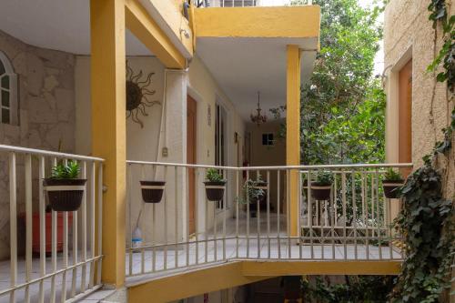 a balcony of a building with potted plants on it at Pequeno Gran Hotel in Aguascalientes