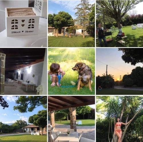 a collage of pictures of people and a dog at B&B Villa dei Sogni in Eboli
