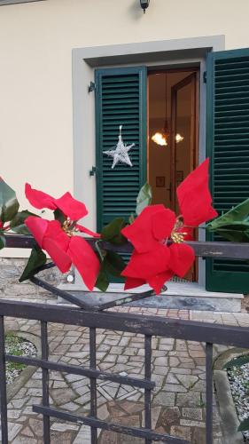 a bunch of red flowers sitting on a fence at Casa Clelia in Monsummano