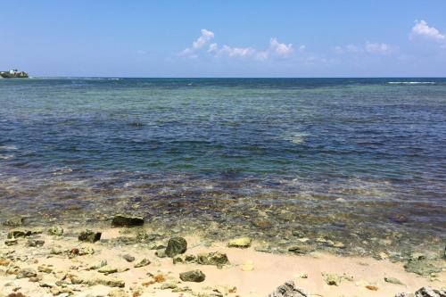 a beach with rocks and the water at Beautiful & Cozy Studio in Akumal Paradise-Wifi, AC in Akumal