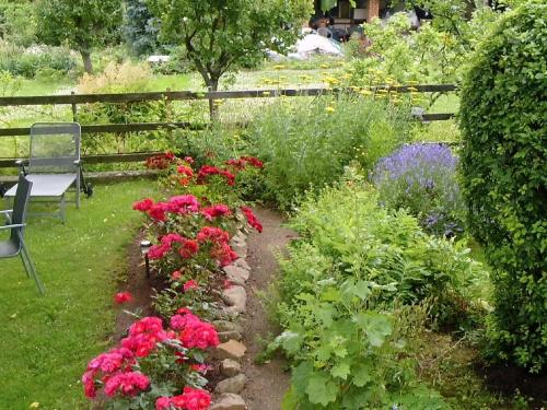 a garden with red flowers and a bench at Ferienwohnung Markert in Blankenburg