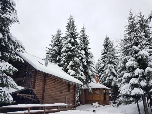 a log cabin in the snow with trees at Gostynniy Dvir in Forest Коттеджи in Migovo