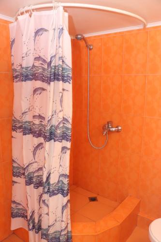 a shower with a shower curtain in a bathroom at Уютные апартаменты в малом центре Еревана in Yerevan