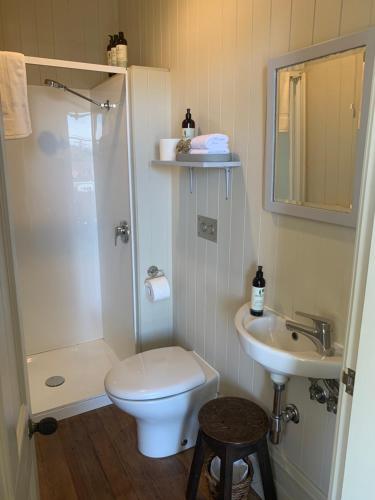 a bathroom with a shower and a toilet and a sink at The Vicarage Boutique Bed and Breakfast Oamaru in Oamaru