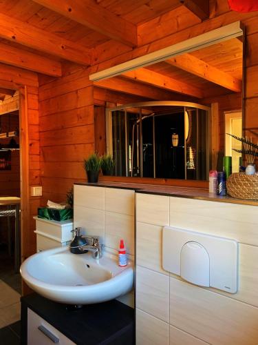 a bathroom with a sink and a mirror at Ferienhaus am Goldbach in Freiberg