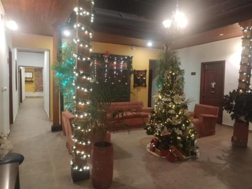 una sala de estar con árboles de Navidad y luces de Navidad en Hotel Plaza Mayor, en Duitama