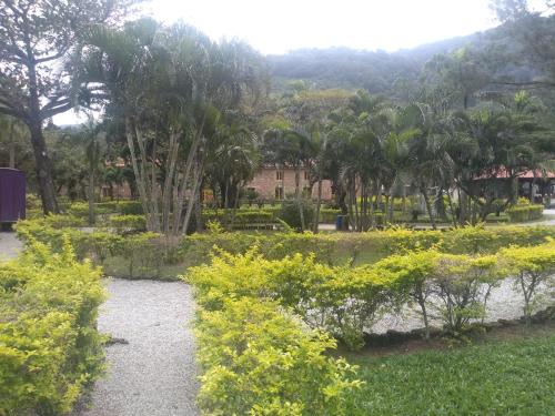 um jardim com plantas e árvores e um edifício em Reserva do Sahy Apartamento em Mangaratiba