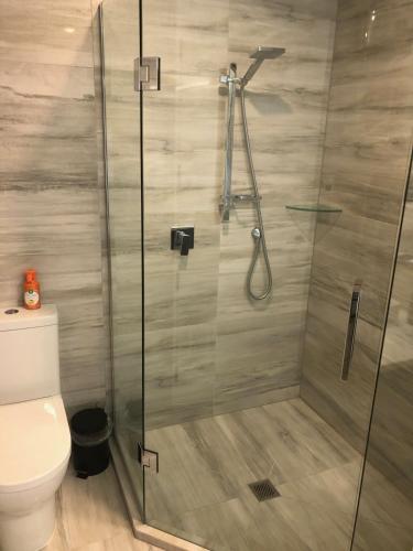 a bathroom with a glass shower with a toilet at Coronet Haven in Queenstown
