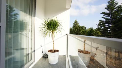 Balkón nebo terasa v ubytování U+U Stay