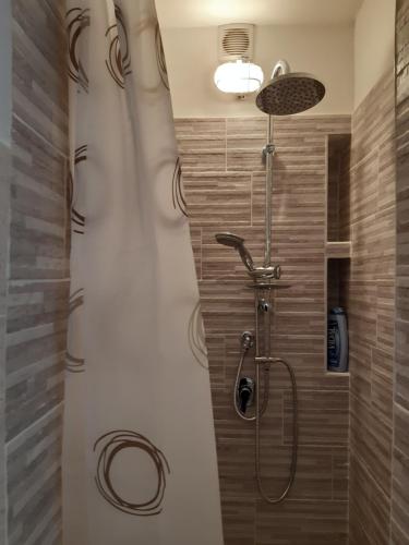 een badkamer met een douche en een glazen deur bij Friedrich Apartments in Merano