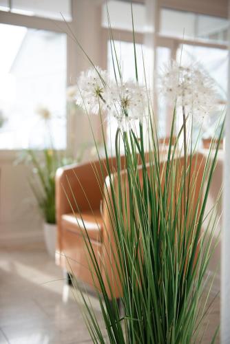 a potted plant with white flowers in front of a couch at Hotel Angermeier GARNI in Eching