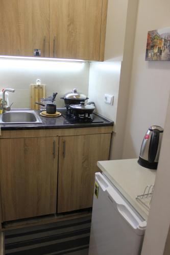 Luka Apartment في تبليسي: مطبخ صغير مزود بحوض وموقد