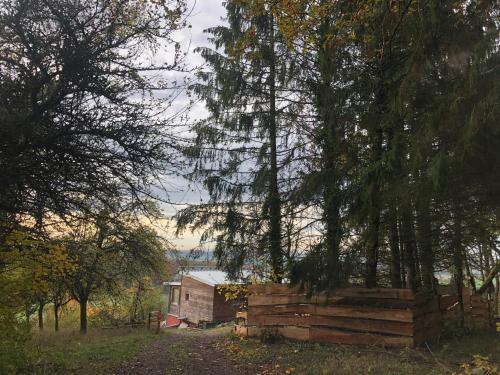 an old house in a field next to trees at Sunrise Cabin et Sauna in Rothbach