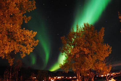 an image of the aurora dancing in the sky at Furoy Hotel Apartments and Boating in Sorreisa