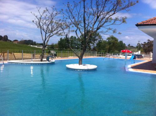 una gran piscina con dos árboles. en Pension Arenas, en Ajo