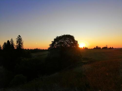 a sunset in a field with a tree in the foreground at Tarin zov in Kaludjerske Bare