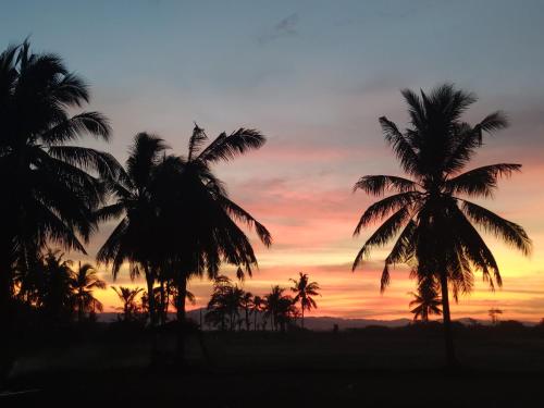 a group of palm trees in front of a sunset at Sunset Homestay by Harry & Mimin in Telaga
