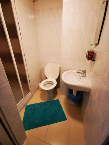a bathroom with a toilet and a sink at Chata pod Studničnou in Pec pod Sněžkou