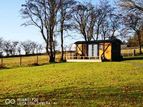 une petite maison dans un champ planté d'arbres dans l'établissement Pen-Rhos luxury glamping "Cuckoo's Nest", à Llandrindod Wells