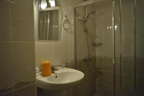 a bathroom with a sink and a shower with a mirror at Julia Family Apartments in Sunny Beach