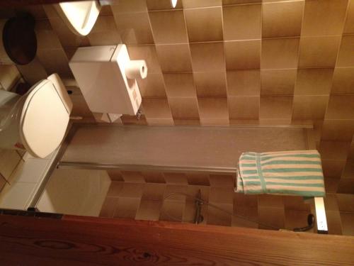 a bathroom with a toilet and a towel on a shelf at Alpengasthaus Sonnhof in Goding