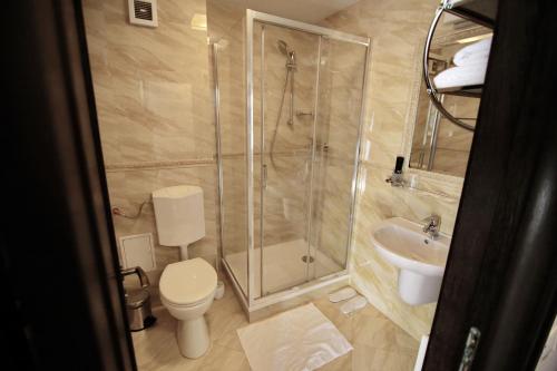 e bagno con doccia, servizi igienici e lavandino. di Casa Muntenească Alessandro a Piteşti