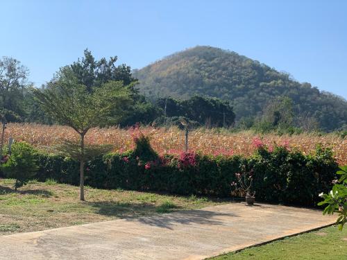 a field of flowers with a mountain in the background at Lek Village Khaoyai in Pak Chong