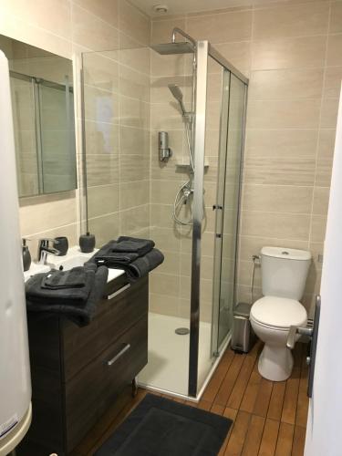une salle de bain avec douche et toilettes dans l'établissement charmant studio Pont-Audemer, à Pont-Audemer