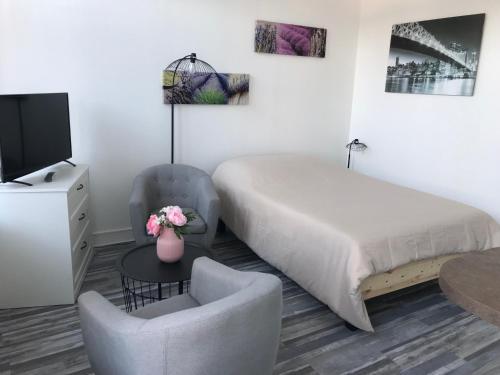 um quarto com uma cama e uma cadeira e uma televisão em charmant studio Pont-Audemer em Pont-Audemer