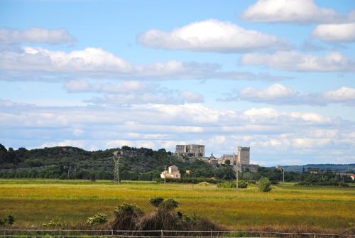 Un castello in mezzo a un campo con un campo di Sidx Sidx Sidx Sidx. di Le Mas de Lucas a Arles