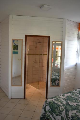 a bathroom with two mirrors and a shower in it at Lokation gwada in Sainte-Anne