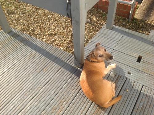 Galería fotográfica de Sail Away Holiday Villa en Ventnor