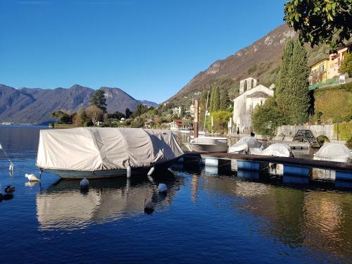 a group of boats tied to a dock in the water at Domus Alba Lenno in Lenno
