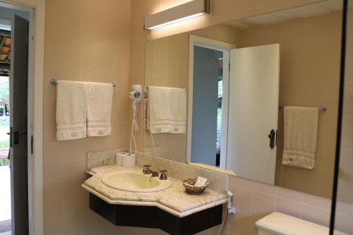 a bathroom with a sink and a mirror at Auberge Suisse Pousada in Nova Friburgo
