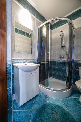 a bathroom with a shower and a sink and a toilet at Noclegi u Ilony Czarna Góra in Czarna Góra