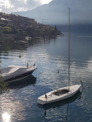 two boats are docked in a body of water at Domus Alba Lenno in Lenno